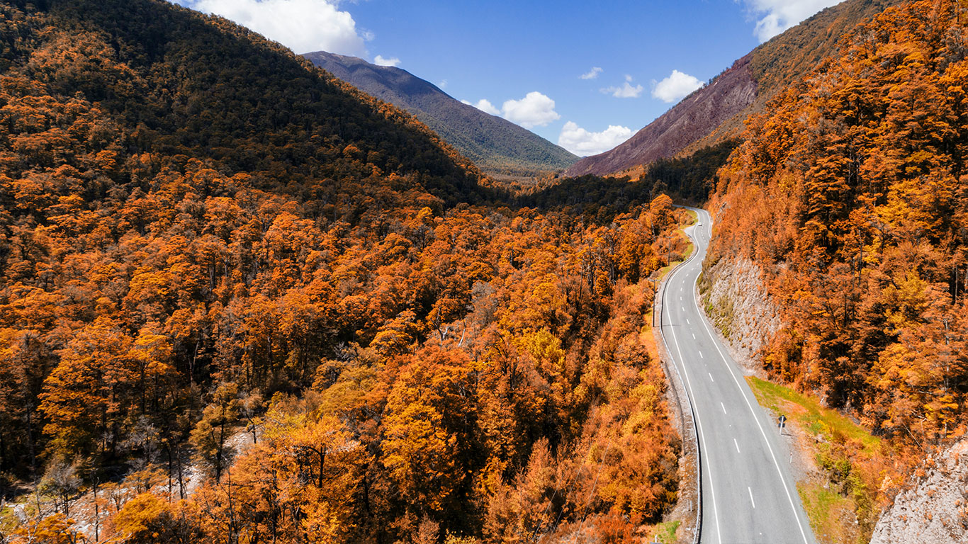 Autumn driving tips