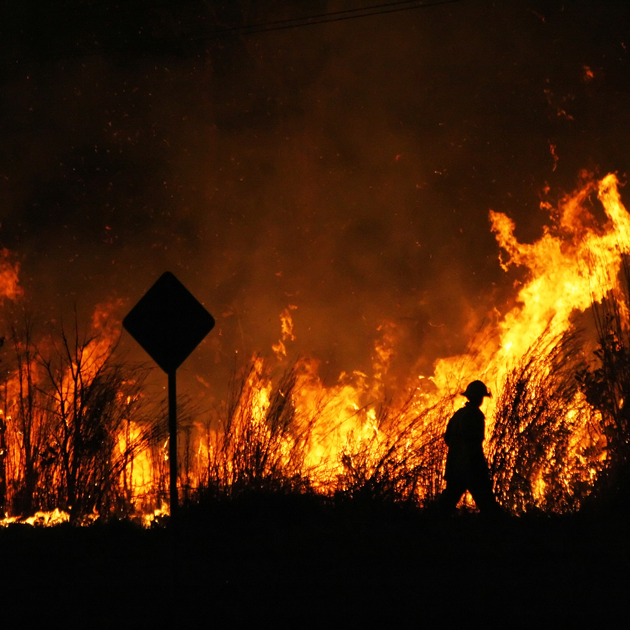 Bushfire emergency